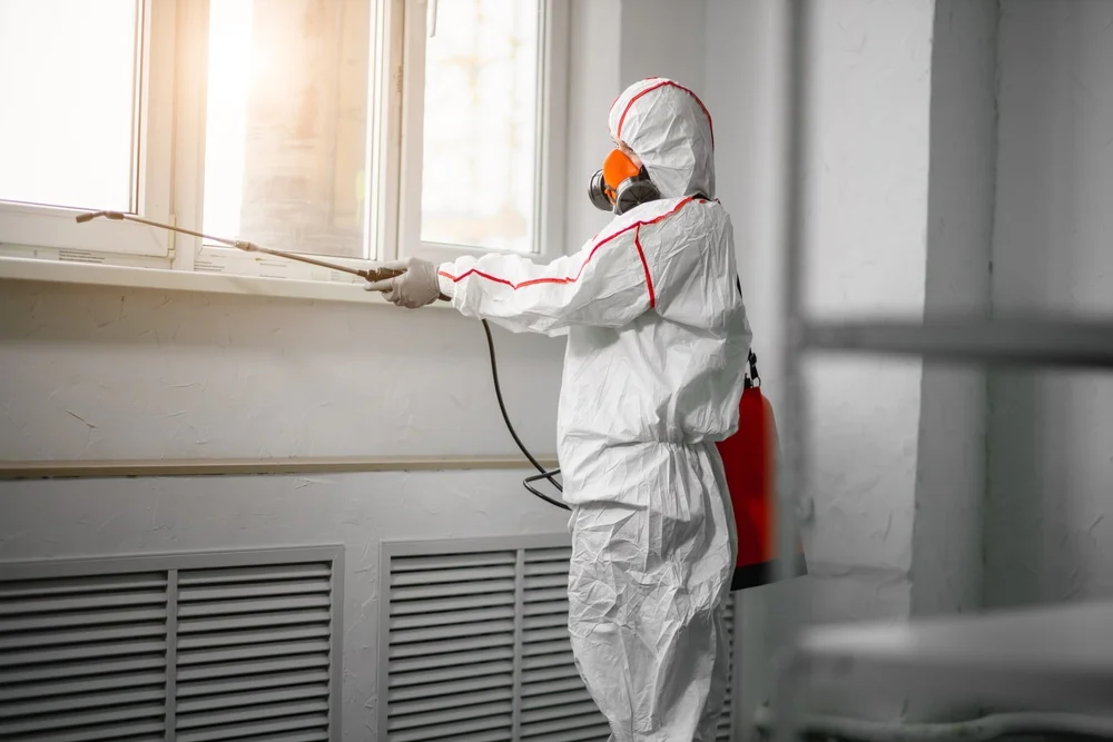 Professional mold remediation services in Westland, MI